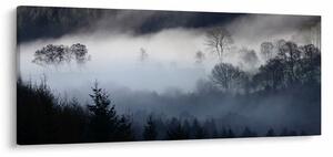 Slika magle nad šumom (120x50 cm)