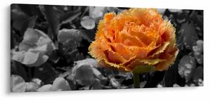 Slika cvijeta (120x50 cm)
