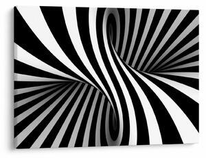 Apstraktna slika sa zebrastim prugama (70x50 cm)