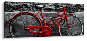 Slika - Povijesni bicikl (120x50 cm)