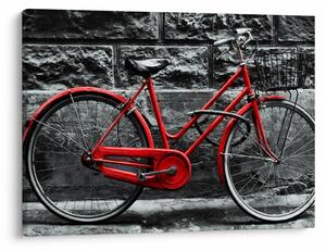 Slika - Povijesni bicikl (70x50 cm)