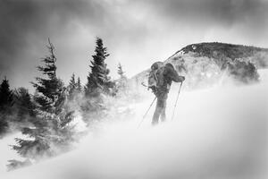 Fotografija Searching for a path, Lubos Balazovic