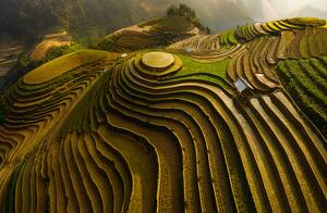 Fotografija Mu Cang Chai Vietnam, Dao Tan Phat