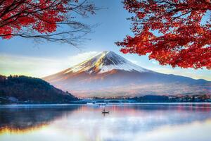 Fotografija Fuji Mountain in Autumn, DoctorEgg