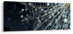 Slika - Cvijet s paučinom (120x50 cm)