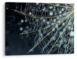 Slika - Cvijet s paučinom (70x50 cm)