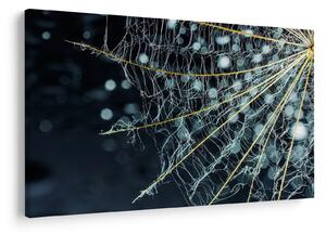 Slika - Cvijet s paučinom (90x60 cm)