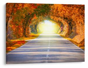 Slika -Prolaz od krošnja stabala (70x50 cm)