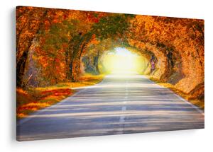 Slika -Prolaz od krošnja stabala (90x60 cm)