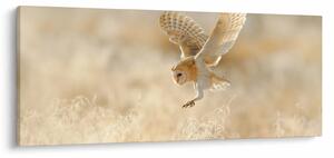Slika - Sova kukuvija (120x50 cm)