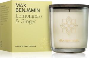 MAX Benjamin Lemongrass & Ginger mirisna svijeća 210 g