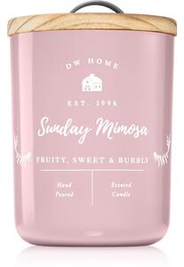 DW Home Farmhouse Sunday Mimosa mirisna svijeća 434 g