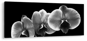 Slika cvijeta orhideje (120x50 cm)