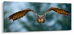 Slika - Sova u letu (120x50 cm)