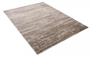 Moderan tepih u smeđim nijansama s tankim prugama Širina: 80 cm | Duljina: 150 cm