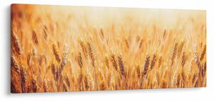 Slika - polje sa žitom (120x50 cm)