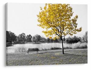Slika - Odmor u parku (70x50 cm)
