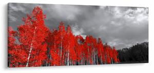 Slika - Drveće u jesenskim bojama (120x50 cm)