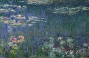 Monet, Claude - Reprodukcija umjetnosti Waterlilies: Green Reflections, 1914-18, (40 x 26.7 cm)