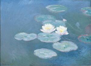 Monet, Claude - Reprodukcija umjetnosti Waterlilies, Evening, (40 x 30 cm)