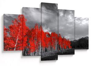 Slika - Drveće u jesenskim bojama (150x105 cm)