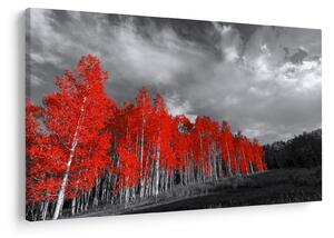 Slika - Drveće u jesenskim bojama (90x60 cm)