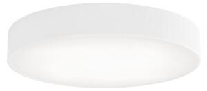 LED Stropna svjetiljka CLEO LED/69W/230V 4000K pr. 50 cm bijela