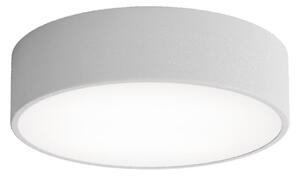 LED Stropna svjetiljka CLEO LED/24W/230V 3000K pr. 30 cm siva