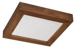 Brilagi-LED Prigušiva svjetiljka WOODY FRAME LED/24W/230V hrast 30x30 cm IP44 + DU