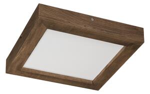 Brilagi-LED Prigušiva svjetiljka WOODY FRAME LED/24W/230V hrast 30x30 cm IP44 + DU