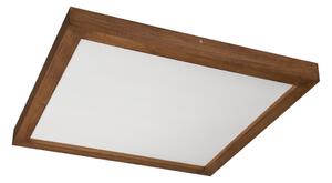 Brilagi-LED Prigušiva svjetiljka WOODY FRAME LED/50W/230V hrast 60x60 cm IP44 + DU