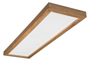 Brilagi-LED Prigušiva svjetiljka WOODY FRAME LED/50W/230V hrast 120x30 cm IP44 +DU