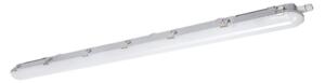 LED Radna svjetlosna cijev NEXFORCE LED/52W/230V IP66 4000K