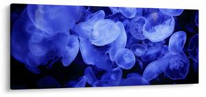 Slika - Meduze (120x50 cm)