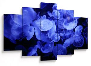 Slika - Meduze (150x105 cm)