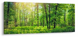 Slika - Proljetna listopadna šuma (120x50 cm)