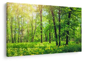 Slika - Proljetna listopadna šuma (90x60 cm)