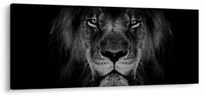 Slika - Veličanstveni lav (120x50 cm)