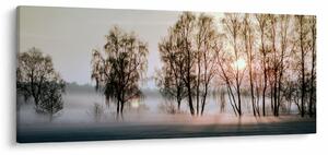 Slika - Vlažno i prohladno jutro (120x50 cm)