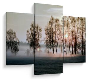 Slika - Vlažno i prohladno jutro (90x60 cm)