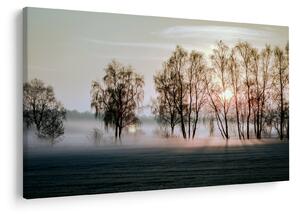 Slika - Vlažno i prohladno jutro (90x60 cm)