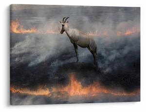 Slika divokoze u plamenu (70x50 cm)