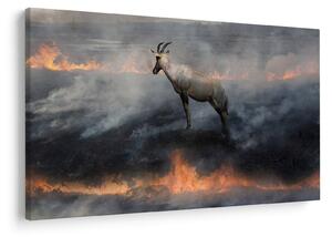Slika divokoze u plamenu (90x60 cm)
