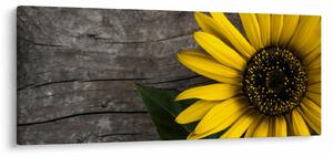 Slika - Cvijet suncokreta (120x50 cm)