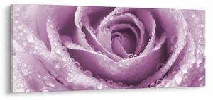 Slika detalja cvijeta ruže (120x50 cm)
