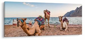 Slika deva (120x50 cm)