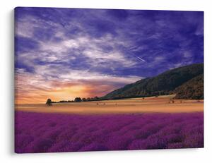 Slika livade sa lavandom (70x50 cm)