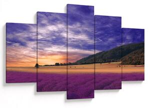 Slika livade sa lavandom (150x105 cm)