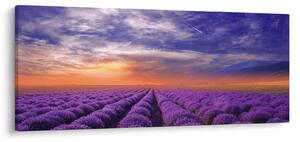 Slika polja lavande (120x50 cm)