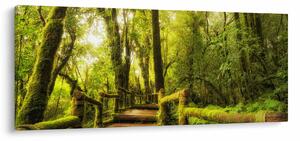 Slika džungle i mahovine (120x50 cm)